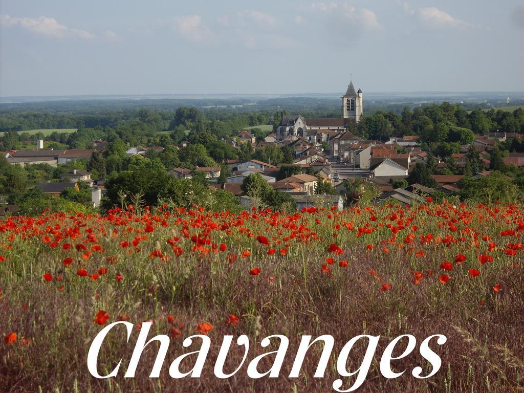 הוילה Chavanges Meuble De Tourisme Le Gilliard חדר תמונה